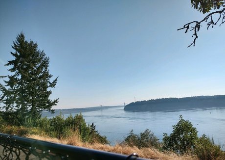 ivypearl42069 model art images