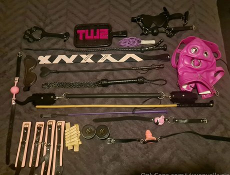 vixxenvalkyrie model art img