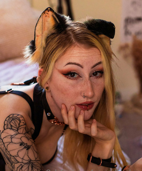 laceandleashes best pornstar pictures