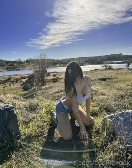 Bri Cookie art model pic