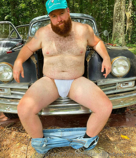 buffetandthebeercan art star pictures