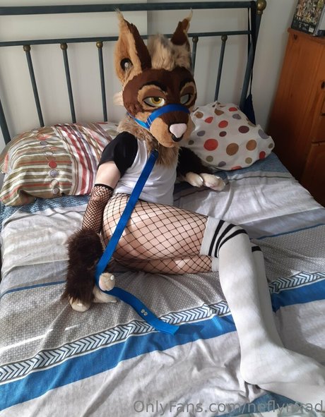 neflynxad star pornographic images