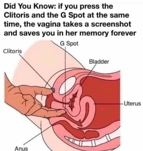 danikajones420free adult model galleries