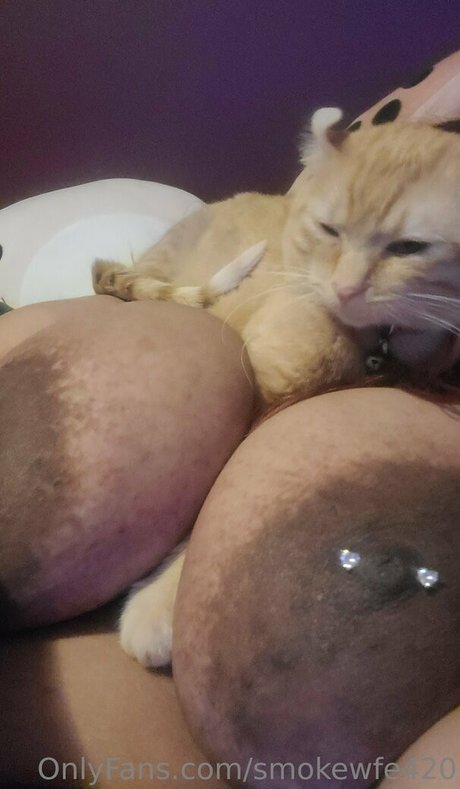 smokewfe420 hot pornstar photo