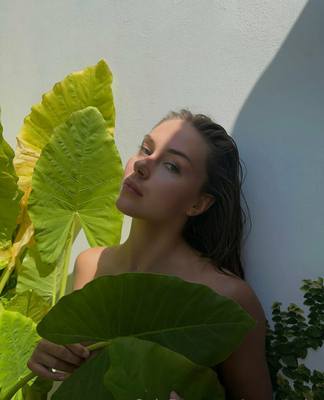 your tasha perfect pornstar galleries