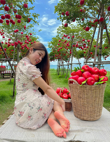 alice feetze star art img