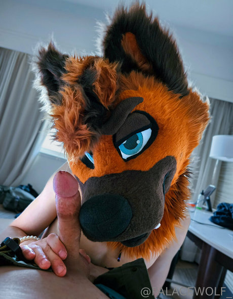 palacewolf pornstar art image