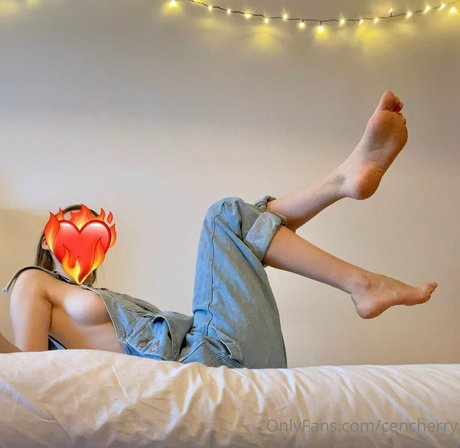 cencherry model top img