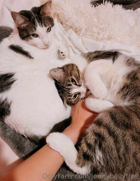 jennybellyfree pornographic actress archive