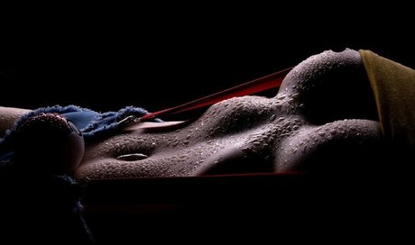 lobfree top star img