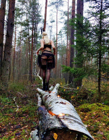 roseblue0101 free star pic