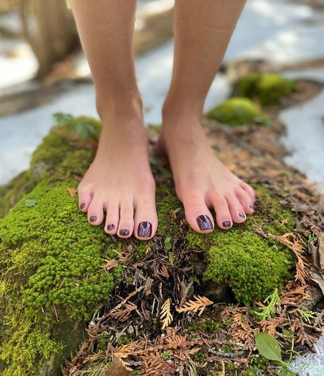 mstoequeen star best image