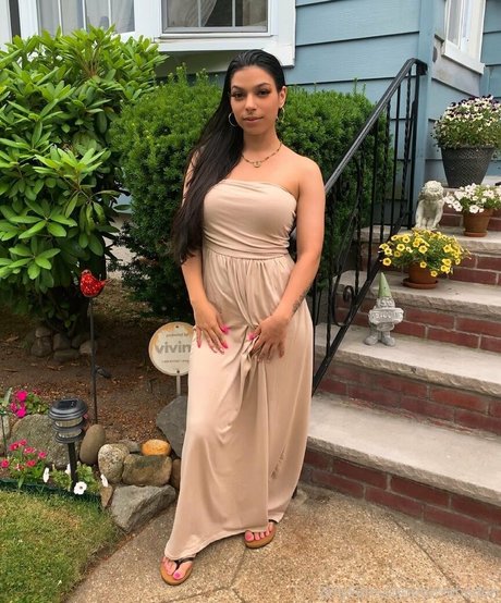 torothadon star top picture