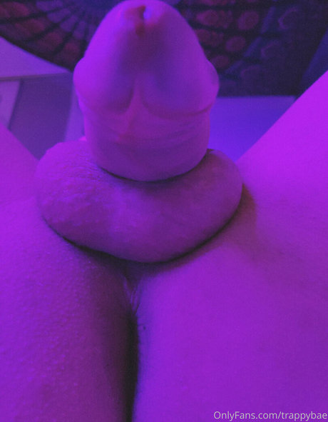 trappybae hd pornstar image