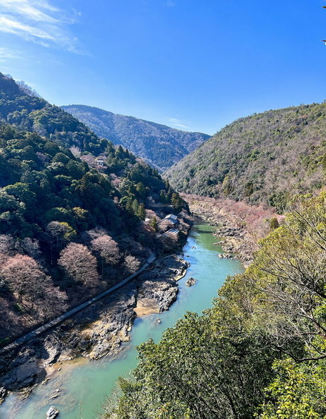 cute big tits onlyfans adult galleries