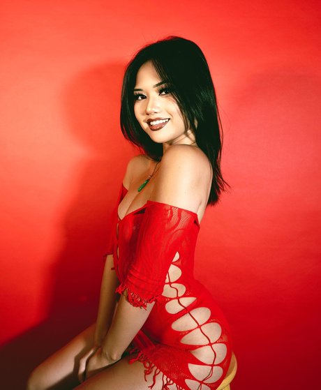 Nikkittran pornographic model img