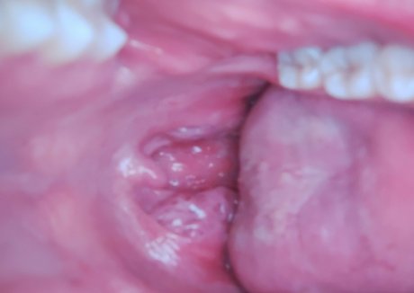 dana the lady vore pornstar image