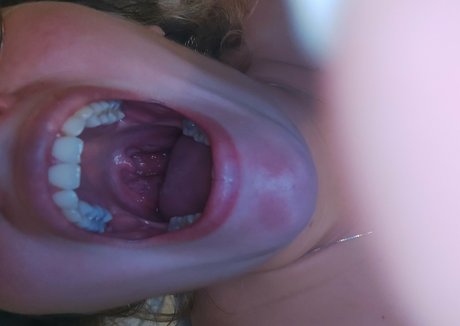 dana the lady vore star xxx photo