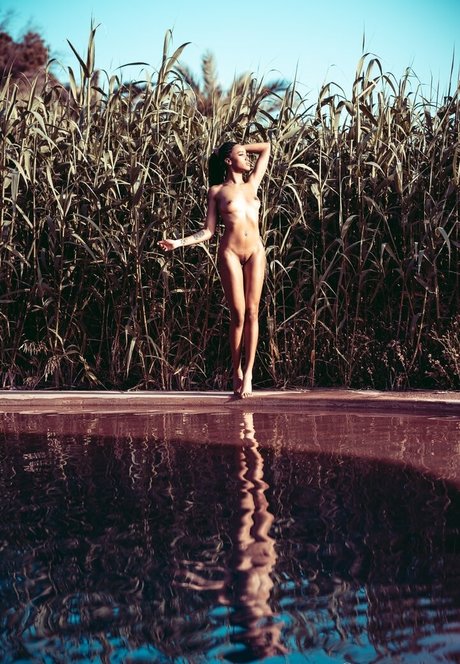 Rikae Crisi model xxx image