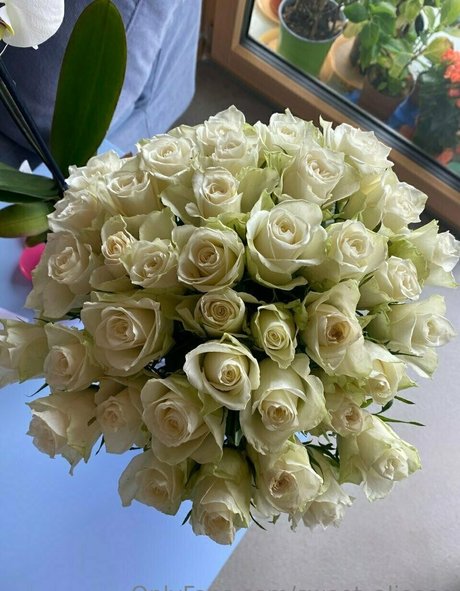 Sweet Aliceee pornstar sex pics