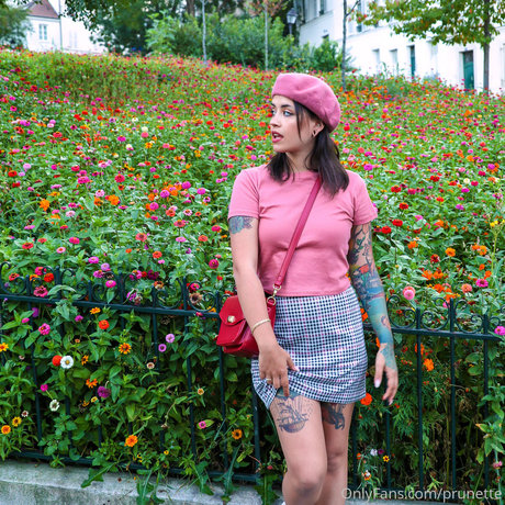 Prunette model high quality picture