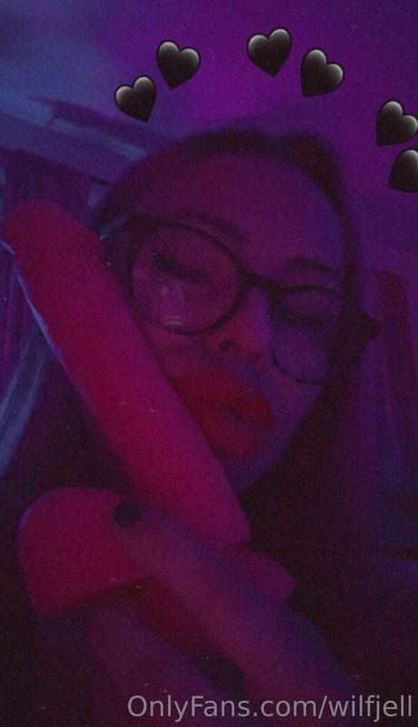 wilfjell star beautiful gallery