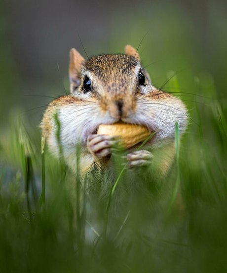 fatsackfails star adult photo