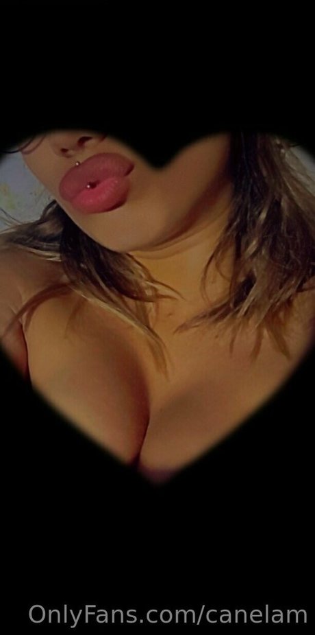 canelam perfect model gallery