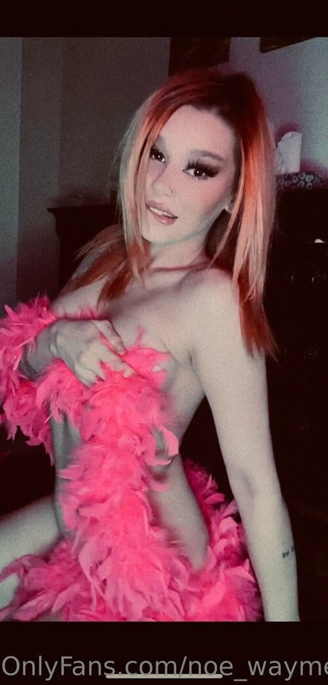 noe waymefree240399 pretty pornstar archive