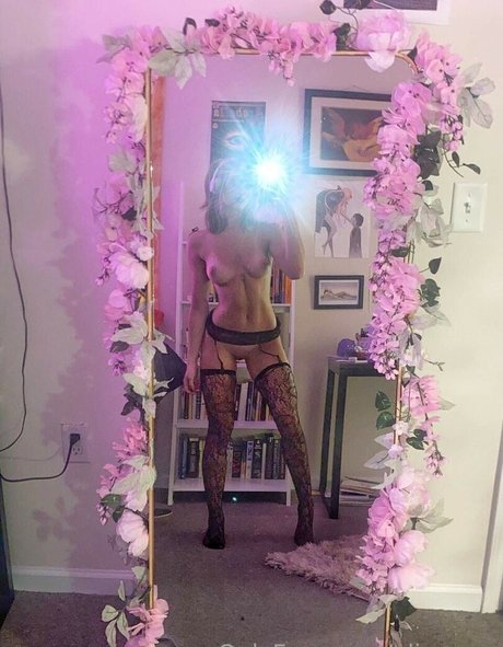 elise eve top model image