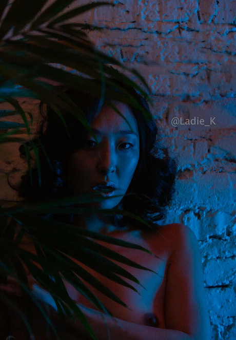 ladie k star art gallery