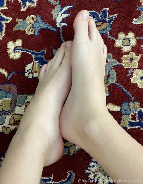 somelittlecrumbs adult model img