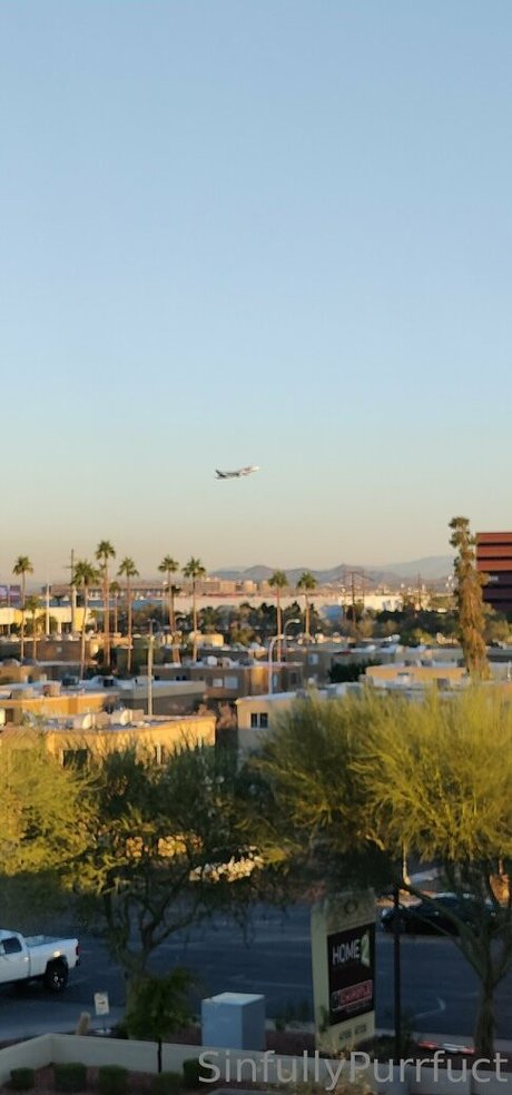 sinfullypurrfuct pornstar pretty image