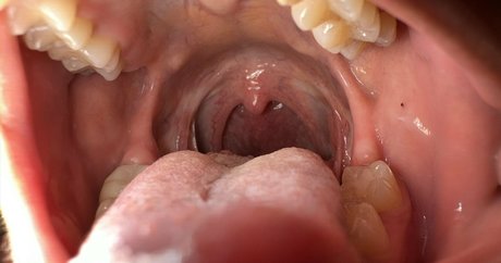 solecirilla xxx star gallery