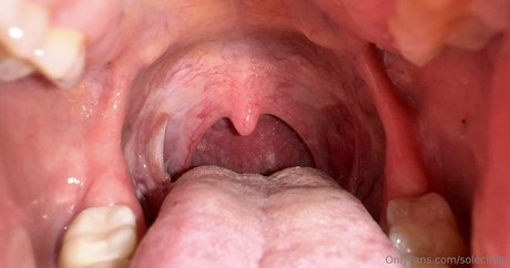 solecirilla pornstar adult images