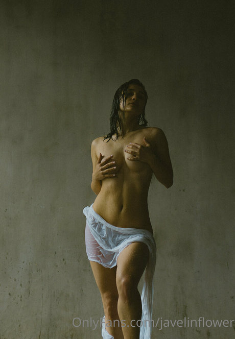 javelinflower nice star photo