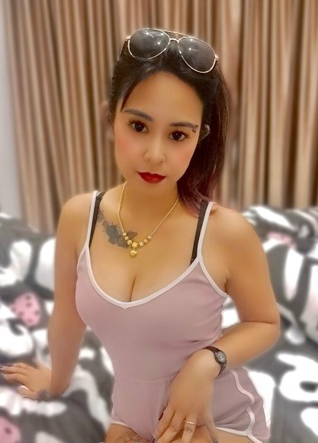 terriallyours porn actress image