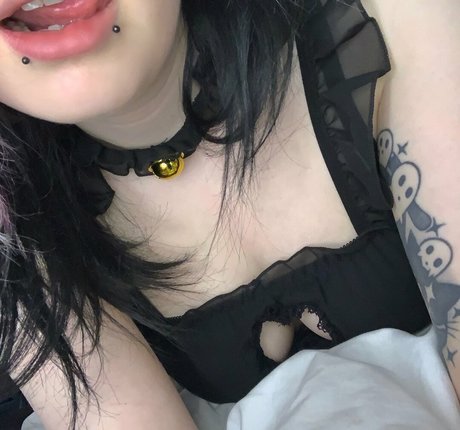 derpydanii best star pics