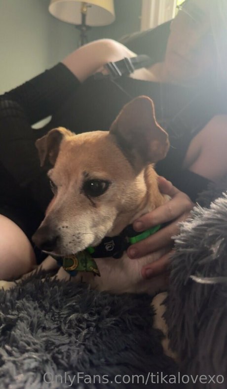 asian hairy onlyfans free nude picture