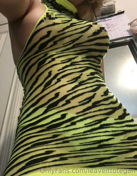 leaveittotegan pornstar nudes pics