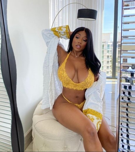 Vivi Panamera art star pics