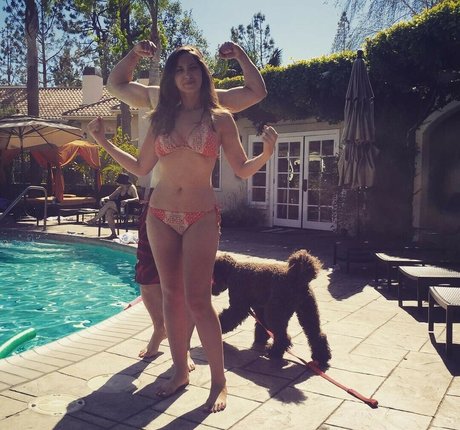 Jamie Amanda Lee pornstar pretty image