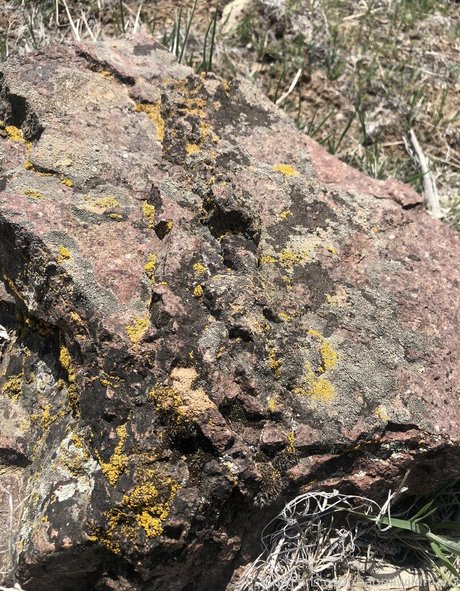 naomiwildman3 erotic actress pics