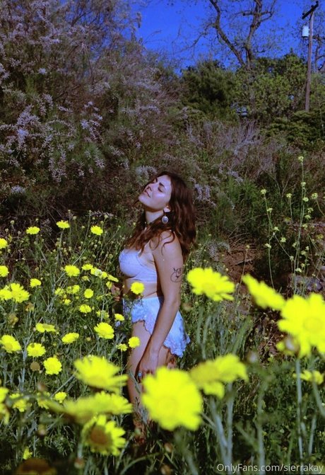 sierrakay nice pornstar galleries