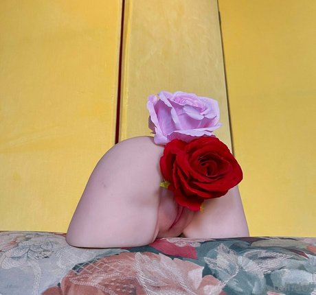 tall doll star nude pictures