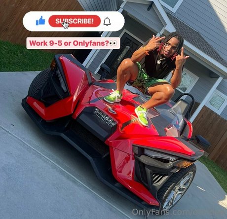 otmdee star nice archive