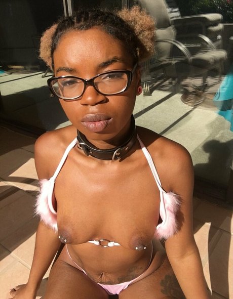 thenovapandafree naked star galleries