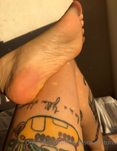 mravenstorm nice star archive