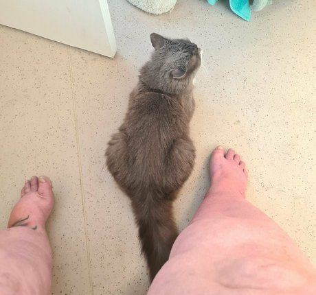 twink onlyfans pornos image