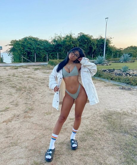 Gabrielle Wlisses star top photos